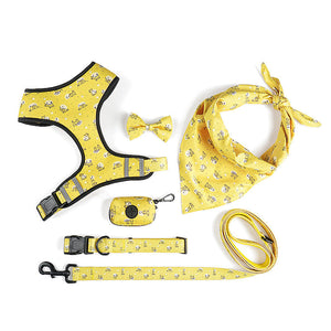 Elevate Your Dog's Style with Our Harness Leash with Bow