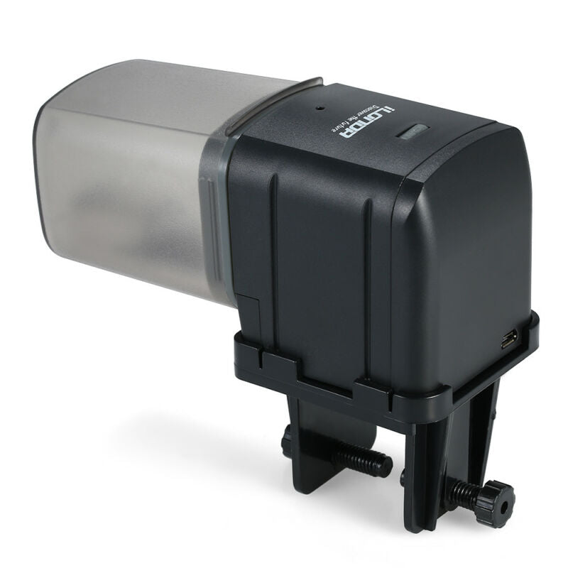 Revolutionize Your Fish Feeding Routine