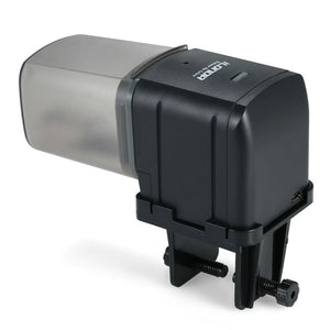 Revolutionize Your Fish Feeding Routine