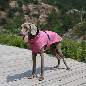 Keep Your Pet Cozy: The Warm Hooded Winter Jacket For Pets