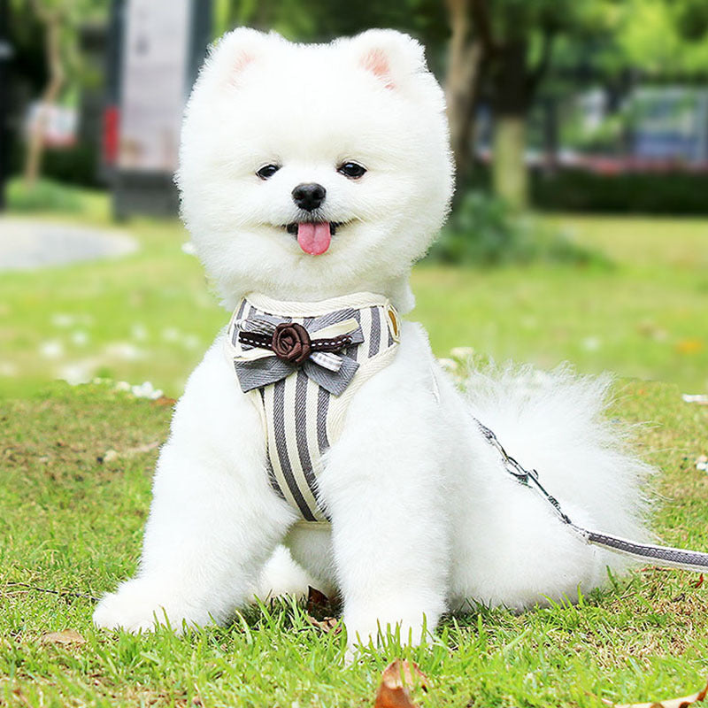 Unleash the Fun with Our Pet Cat Vest Harness Leash