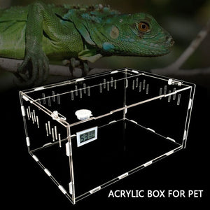 Discover the Ultimate Reptile Breeding Box!