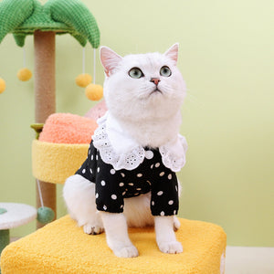 Why Your Pet Deserves the Blue Cat Ragdoll T Shirt