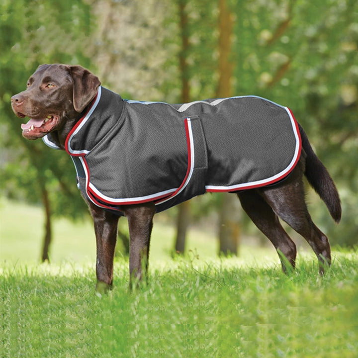 Keep Your Furry Friends Cozy with Our Warm Waterproof Autumn Winter Pet Jacket