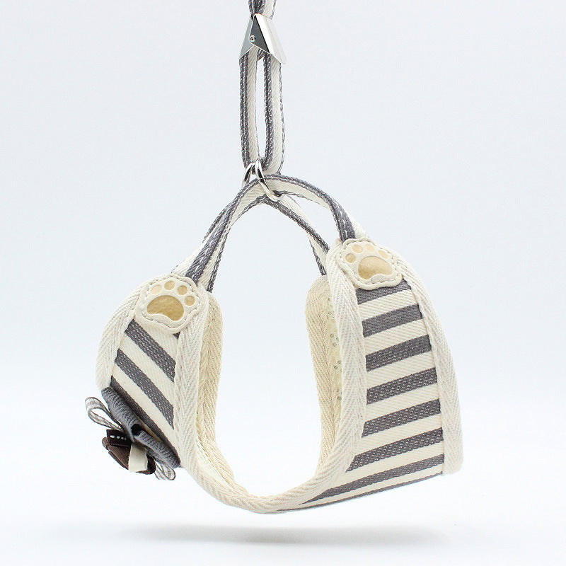 The Perfect Companion for Your Feline Friend
