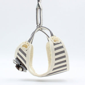 The Perfect Companion for Your Feline Friend