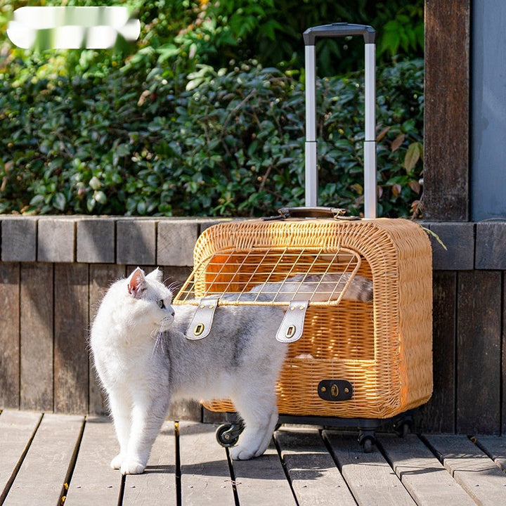 Discover the Portable Woven Rattan Cat Carrier