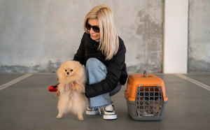 Safe Pet Carriers For EVERY Adventures