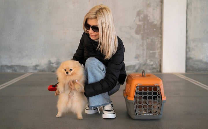 Safe Pet Carriers For EVERY Adventures
